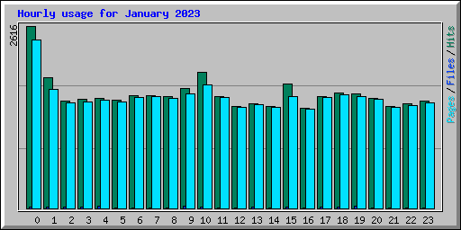 Hourly usage for January 2023